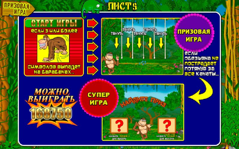 Символи ігрового слота Crazy Monkey